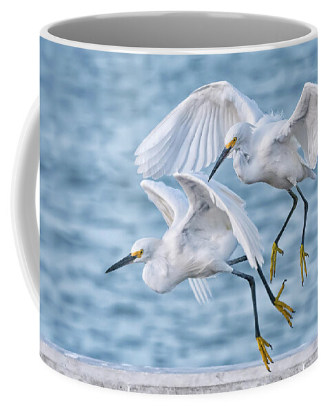 Snowy Egrets Coffee Mug featuring the photograph Will You Hurry Up by Peg Runyan