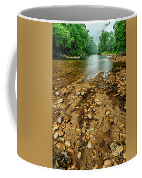 Williams River Coffee Mug featuring the photograph Williams River Warm Spring Rain by Thomas R Fletcher