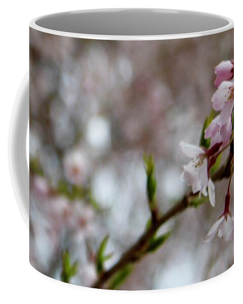 Photography Coffee Mug featuring the photograph Willow Bloom Spring 3 by M E