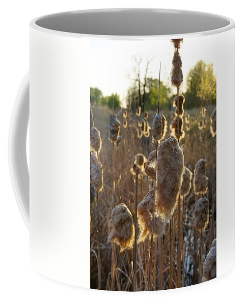 Canadian Landscape Photographer Coffee Mug featuring the photograph Willows No.2 by Desmond Raymond