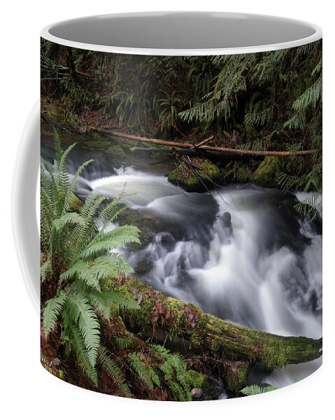 Nature Coffee Mug featuring the photograph Wilson Creek #18 by Ben Upham III