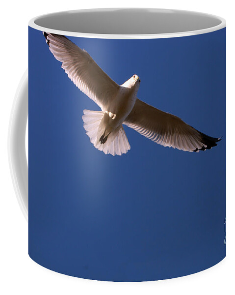 Clay Coffee Mug featuring the photograph Wind Beneath My Wings by Clayton Bruster