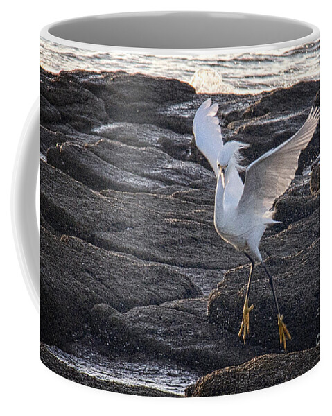 Birds Coffee Mug featuring the photograph Wind Dancer by Bob Hislop