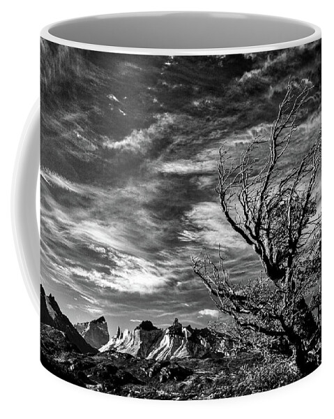 Tree Coffee Mug featuring the photograph Wind Shaped Tree #2 - Patagonia by Stuart Litoff