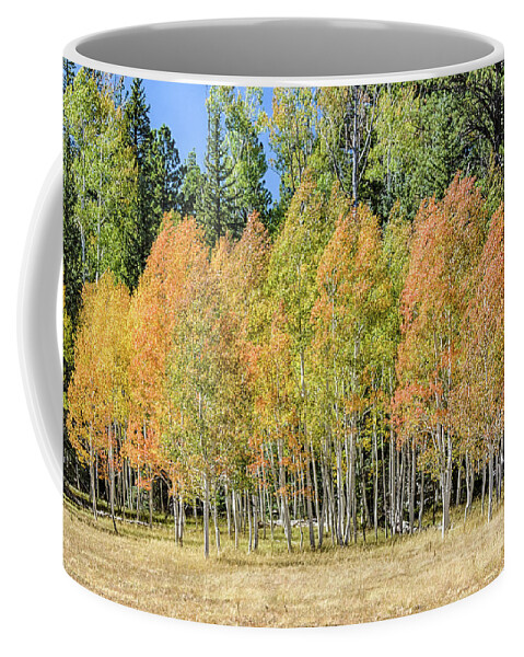 Quaking Aspen Coffee Mug featuring the photograph Windblown Aspen by Gaelyn Olmsted