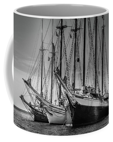 Windjammers Coffee Mug featuring the photograph Windjammer Fleet by Fred LeBlanc