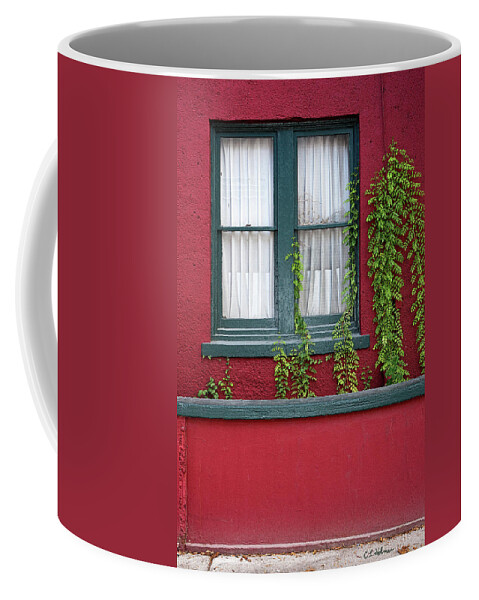 Window Coffee Mug featuring the photograph Window and VInes by Christopher Holmes