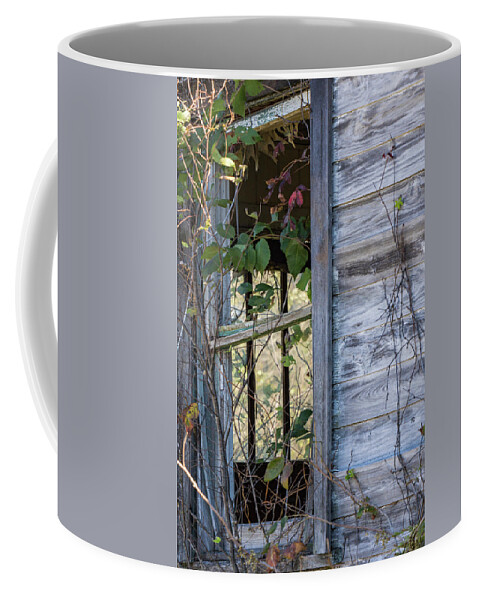 Abandoned Coffee Mug featuring the photograph Windows to the Past by Holly Ross