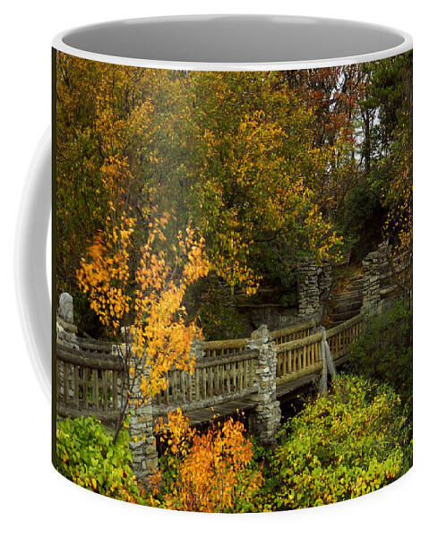 Appalachia Coffee Mug featuring the photograph Windy Day at Cooper's Rock by Amanda Jones