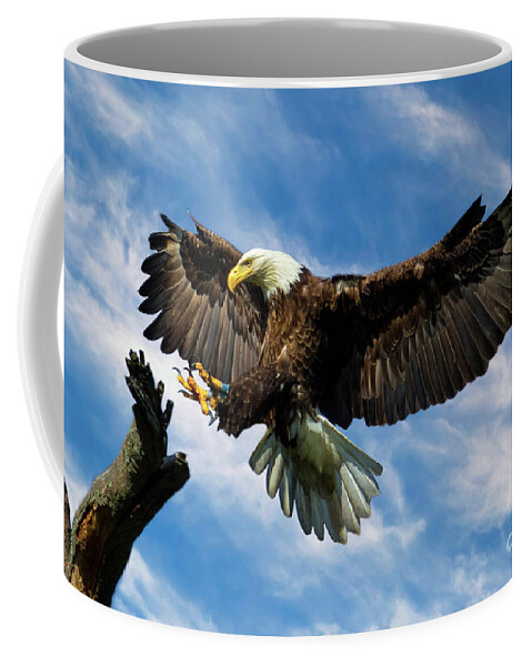 Eagle Coffee Mug featuring the photograph Wings Outstretched by Eleanor Abramson