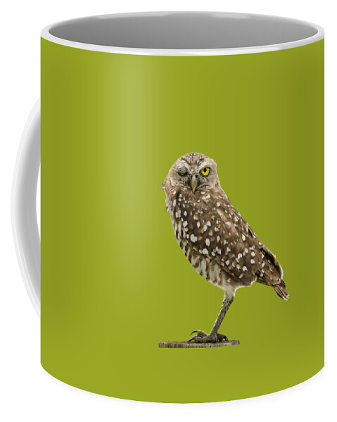 Owl Coffee Mug featuring the photograph Winking Owl by Bradford Martin