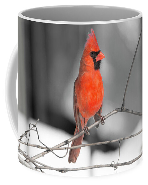 Cardinal Coffee Mug featuring the digital art Winter Cardinal 8 by David Stasiak