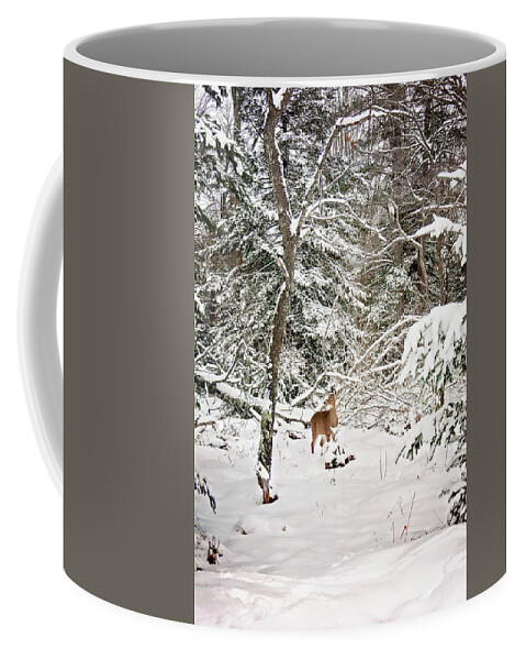 Winter Deer In The Forest Print Coffee Mug featuring the photograph Winter Deer in the Forest by Gwen Gibson