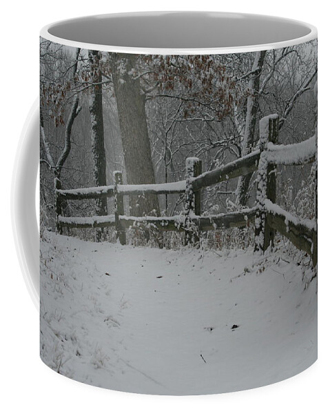 Winter Fence Trail Coffee Mug featuring the photograph Winter Fence Trail H by Dylan Punke