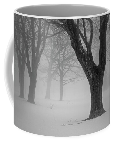 Landscape Coffee Mug featuring the photograph Winter Landscape V by David Gordon