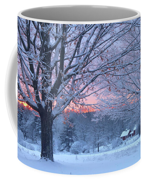 North Common Meadow Coffee Mug featuring the photograph Winter Morning by John Burk