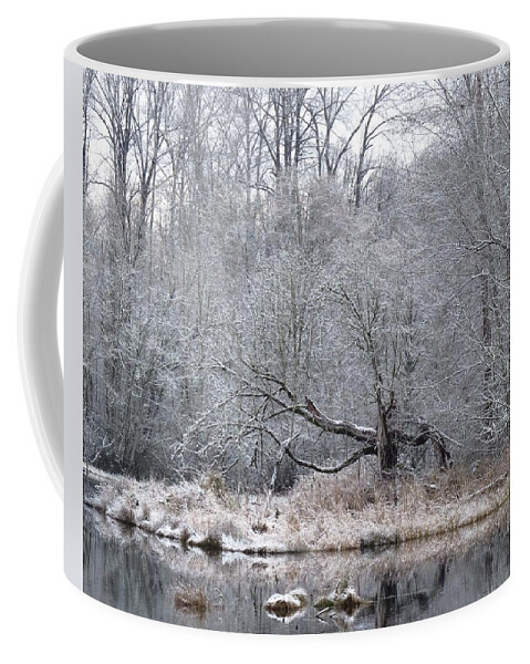 Winter Wonderland Coffee Mug featuring the photograph Winter Special by I'ina Van Lawick