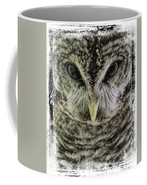 Owl Coffee Mug featuring the photograph Winter by Stoney Lawrentz