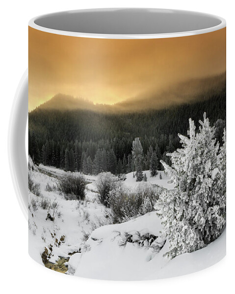Winter Coffee Mug featuring the photograph Winter Sunrise by Ronnie And Frances Howard