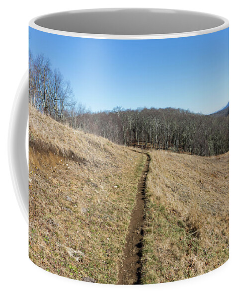Empty Coffee Mug featuring the photograph Winter Trail - December 7, 2016 by D K Wall