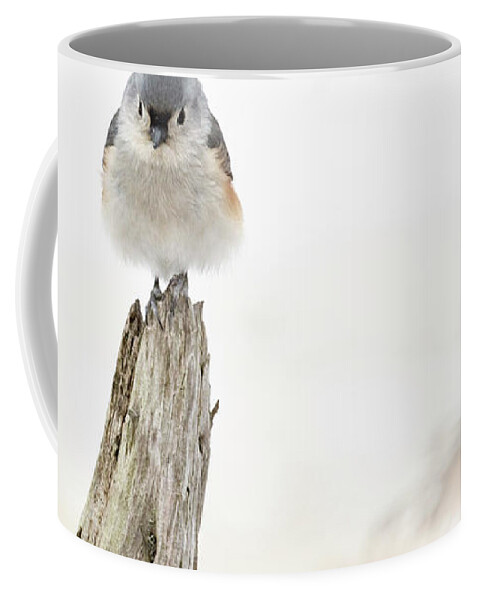 Bird Coffee Mug featuring the photograph Winter Visit by Holly Ross