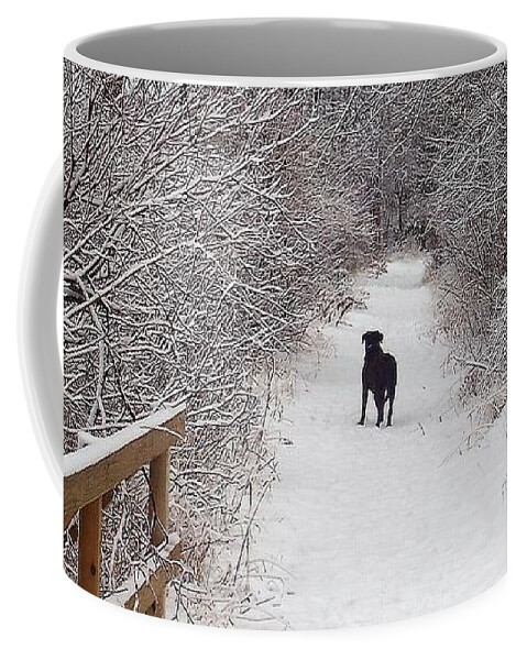Winter Coffee Mug featuring the photograph Winter Walk by Deb Stroh-Larson