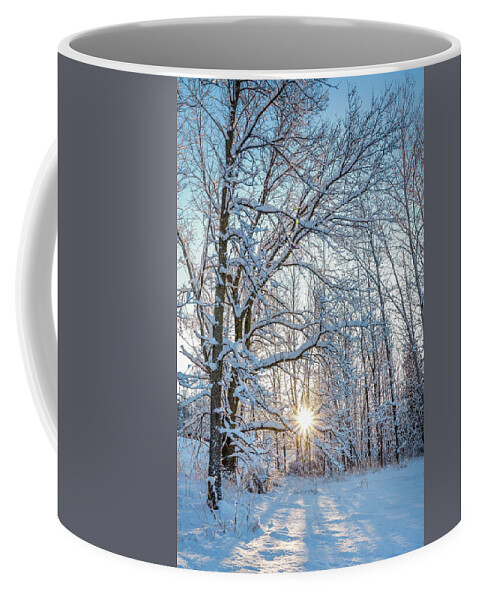Bill Pevlor Coffee Mug featuring the photograph Winter Warm Spot by Bill Pevlor
