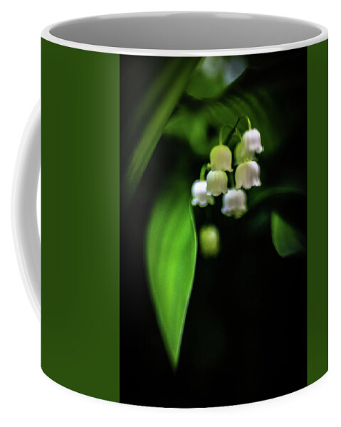 Lily Of The Valley Coffee Mug featuring the photograph Shade Blossoms by Pamela Taylor