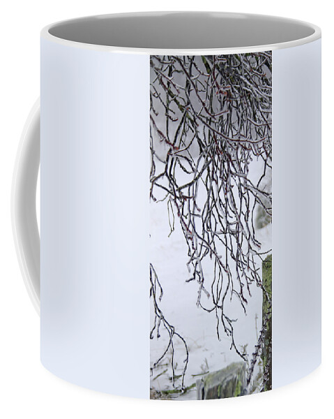 Ice Coffee Mug featuring the photograph Winter Witch Ice Storm on the Blue Ridge by John Harmon