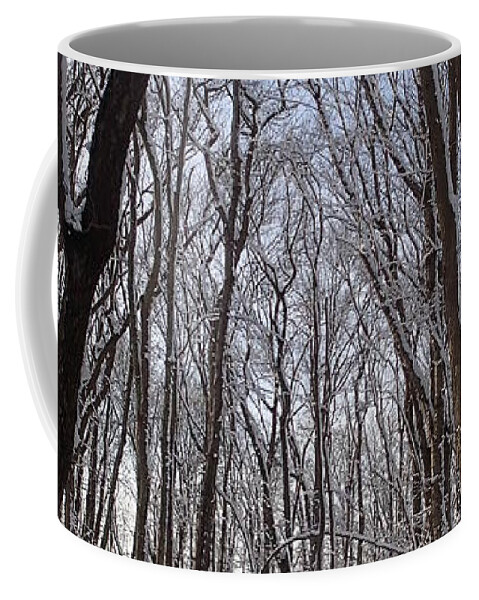 Nature Coffee Mug featuring the photograph Winter Woods 3 by Robert Nickologianis