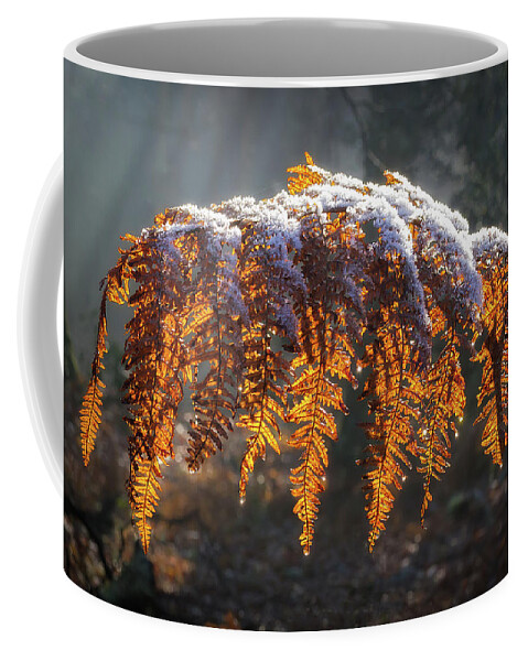 Leaf Coffee Mug featuring the photograph Winter woods by Shirley Mitchell