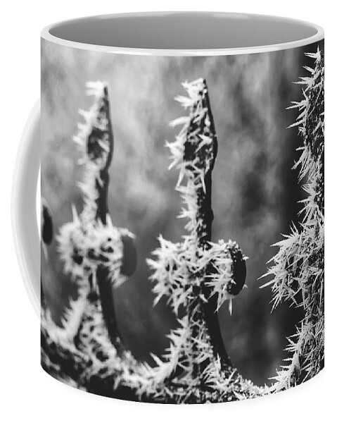 Winter Coffee Mug featuring the photograph Winter's Artwork by Mountain Dreams
