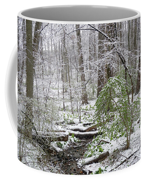 Winterthur Coffee Mug featuring the photograph Winterthur Gardens #02707 by Raymond Magnani