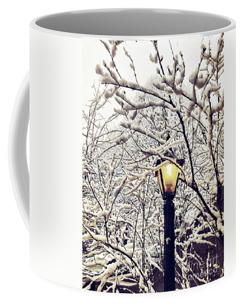 Snow Coffee Mug featuring the photograph Wintry Boughs by Onedayoneimage Photography