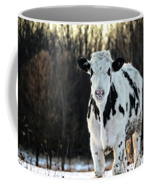 Dairy Coffee Mug featuring the photograph Wisconsin Dairy Cow by Ms Judi