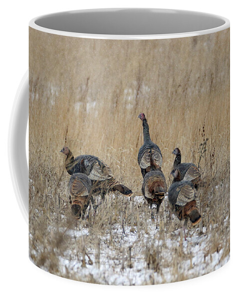 Turkey Coffee Mug featuring the photograph Wisconsin Turkeys by Brook Burling