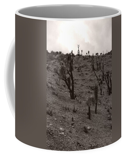  Coffee Mug featuring the photograph Wishbone by Heather Kirk