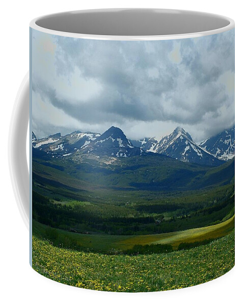 Spring Coffee Mug featuring the photograph Wishing for Spring by Tracey Vivar