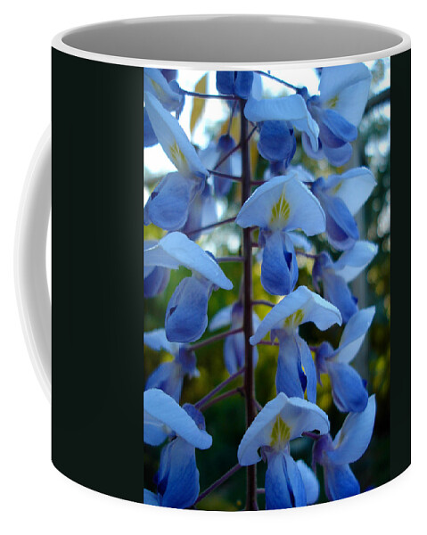 Flora Coffee Mug featuring the photograph Wisteria - blue hooded ladies by Susan Baker