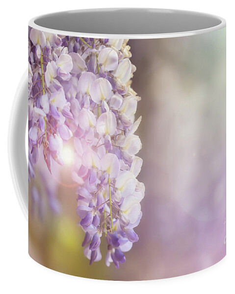 Wisteria Coffee Mug featuring the photograph Wisteria flowers in sunlight by Jane Rix