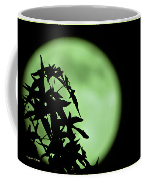 Moon Coffee Mug featuring the photograph Witching Hour by DigiArt Diaries by Vicky B Fuller