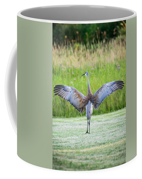 Grus Canadensis Coffee Mug featuring the photograph With Open Arms by Wild Fotos