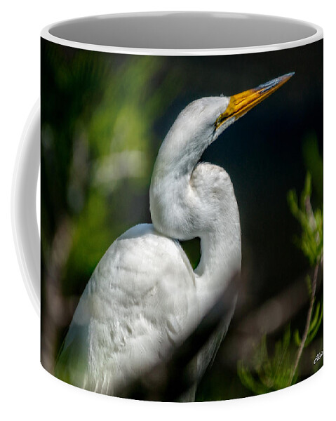 Christopher Holmes Photography Coffee Mug featuring the photograph White Egret 2 by Christopher Holmes