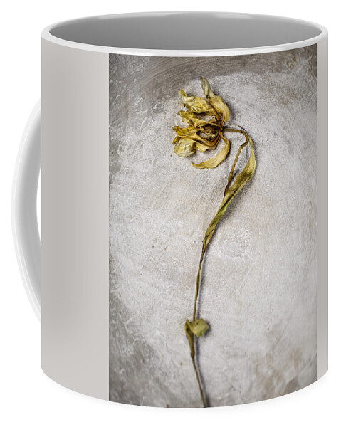 Tulip Coffee Mug featuring the photograph Withered by Nailia Schwarz