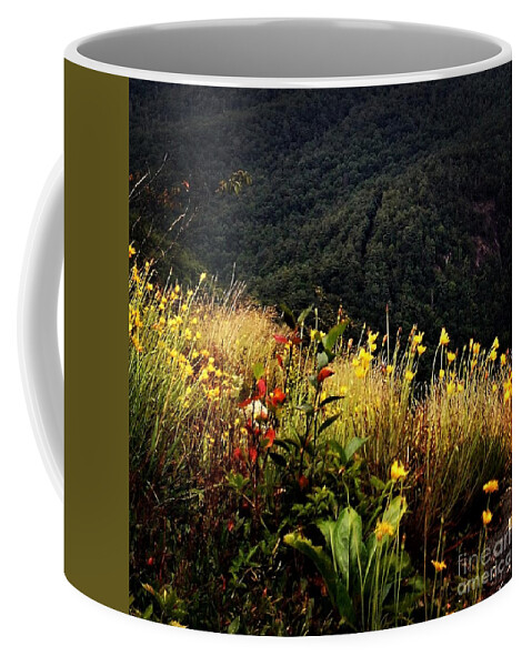 Whiteside Mountain Coffee Mug featuring the photograph WNC Mountains - Late Summer by Anita Adams