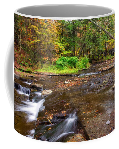 Office Coffee Mug featuring the photograph Wolf Creek 2 by Mark Papke