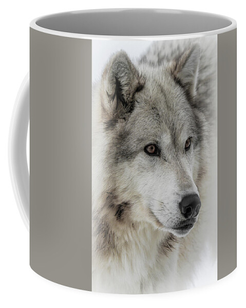 Wolf Coffee Mug featuring the photograph Wolf Face III by Athena Mckinzie