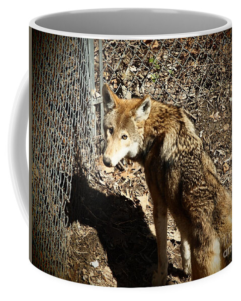 Wolf Coffee Mug featuring the photograph Wolf by Jennifer Craft