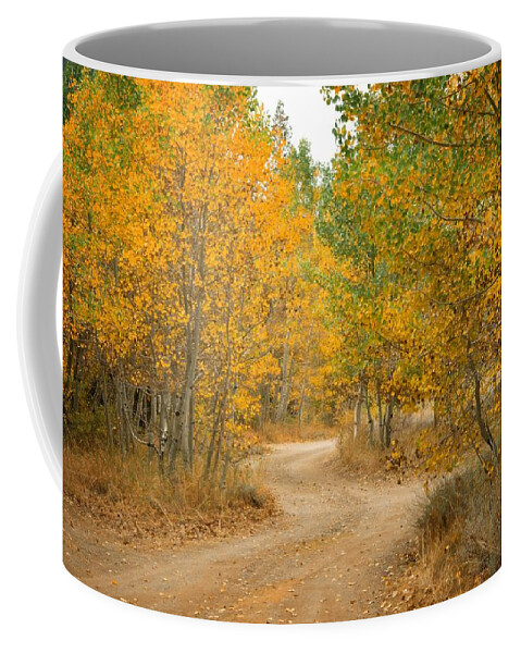 Fall Coffee Mug featuring the photograph Wonder Filled Path by Lynn Bauer