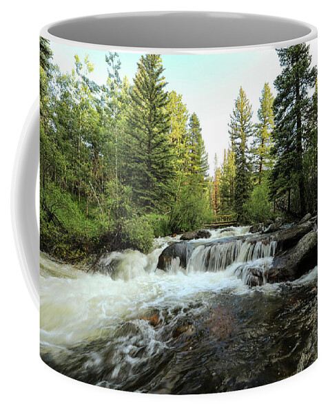 Rocky Coffee Mug featuring the photograph Wood Bridge in the Distance by Sean Allen